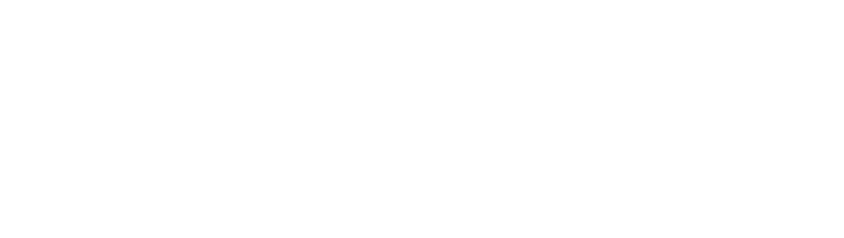 Vessa Agency